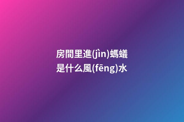房間里進(jìn)螞蟻是什么風(fēng)水