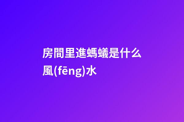 房間里進螞蟻是什么風(fēng)水