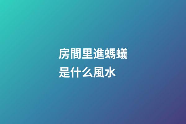 房間里進螞蟻是什么風水
