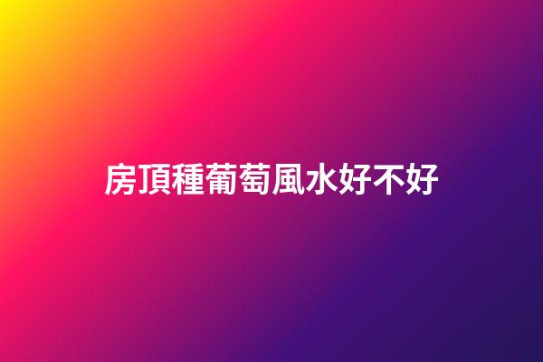 房頂種葡萄風水好不好