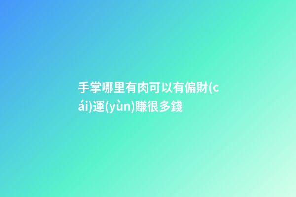 手掌哪里有肉可以有偏財(cái)運(yùn)賺很多錢