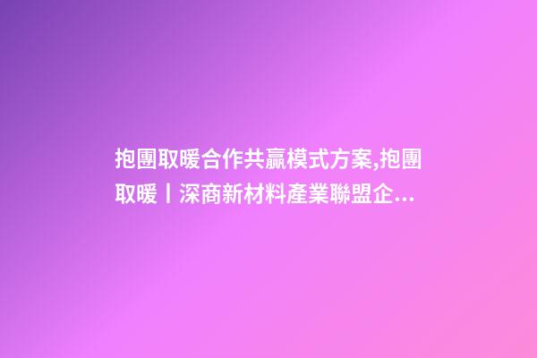 抱團取暖合作共贏模式方案,抱團取暖丨深商新材料產業聯盟企業聚心合力-第1張-觀點-玄機派