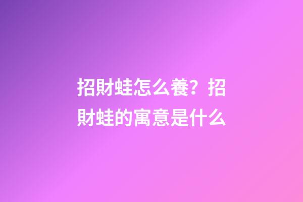 招財蛙怎么養？招財蛙的寓意是什么
