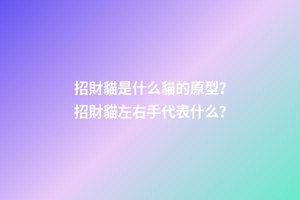招財貓是什么貓的原型？招財貓左右手代表什么？