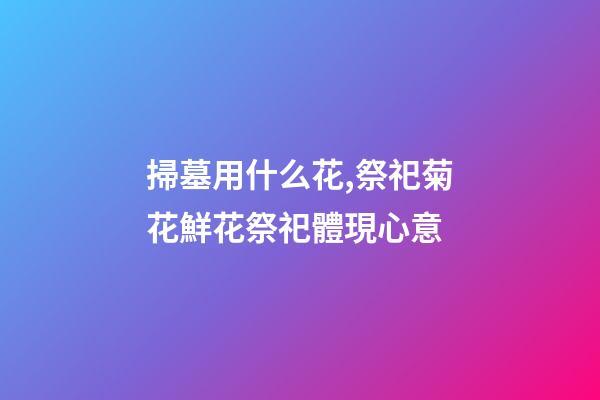 掃墓用什么花,祭祀菊花鮮花祭祀體現心意-第1張-觀點-玄機派