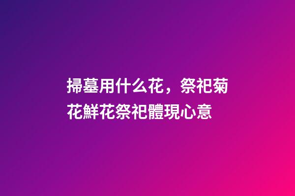 掃墓用什么花，祭祀菊花鮮花祭祀體現心意-第1張-觀點-玄機派