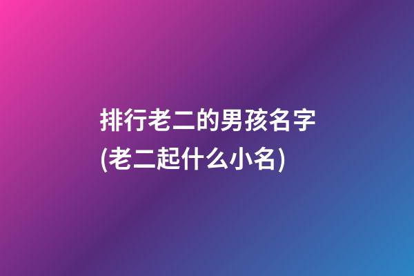 排行老二的男孩名字(老二起什么小名)