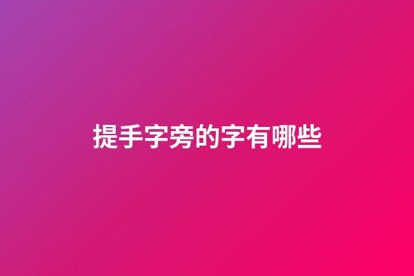 提手字旁的字有哪些