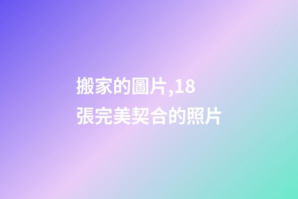 搬家的圖片,18張完美契合的照片-第1張-觀點-玄機派