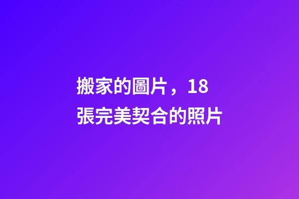 搬家的圖片，18張完美契合的照片-第1張-觀點-玄機派
