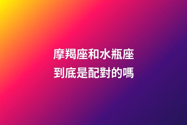 摩羯座和水瓶座到底是配對的嗎-第1張-星座運勢-玄機派
