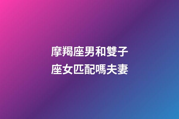 摩羯座男和雙子座女匹配嗎夫妻-第1張-星座運(yùn)勢-玄機(jī)派