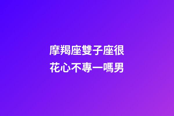摩羯座雙子座很花心不專一嗎男-第1張-星座運勢-玄機派