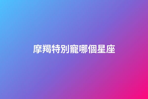 摩羯特別寵哪個星座-第1張-星座運勢-玄機派