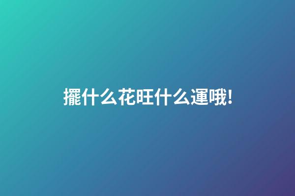 擺什么花旺什么運哦!