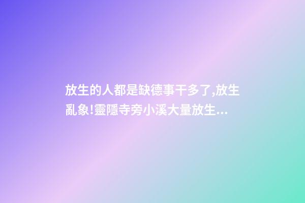 放生的人都是缺德事干多了,放生亂象!靈隱寺旁小溪大量放生烏龜死亡-第1張-觀點-玄機派