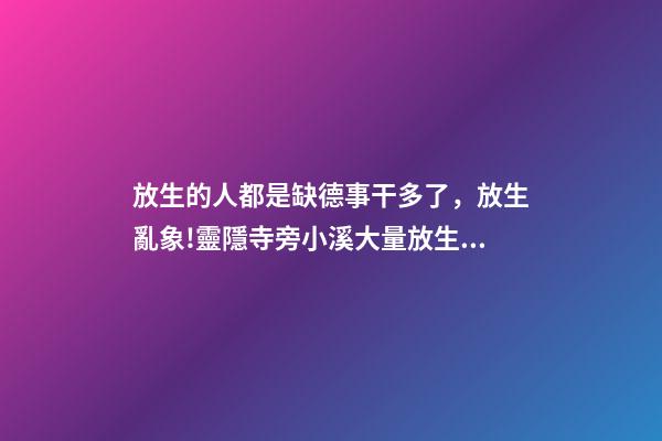 放生的人都是缺德事干多了，放生亂象!靈隱寺旁小溪大量放生烏龜死亡-第1張-觀點-玄機派