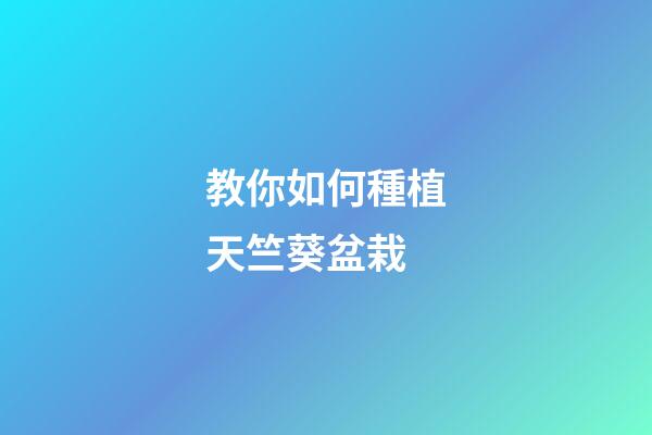 教你如何種植天竺葵盆栽