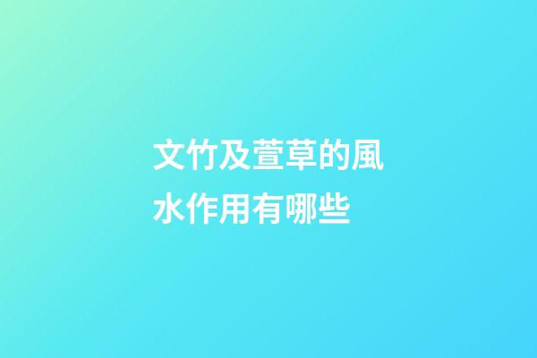 文竹及萱草的風水作用有哪些?