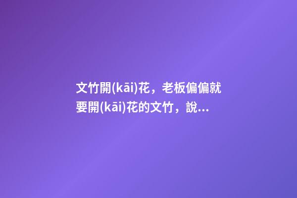 文竹開(kāi)花，老板偏偏就要開(kāi)花的文竹，說(shuō)風(fēng)水好，植物與風(fēng)水講究多