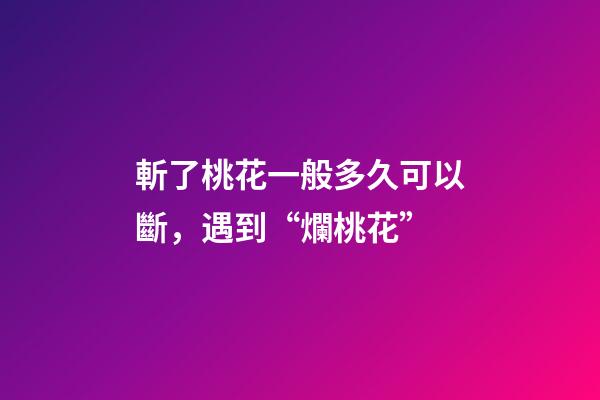 斬了桃花一般多久可以斷，遇到“爛桃花”-第1張-觀點(diǎn)-玄機(jī)派