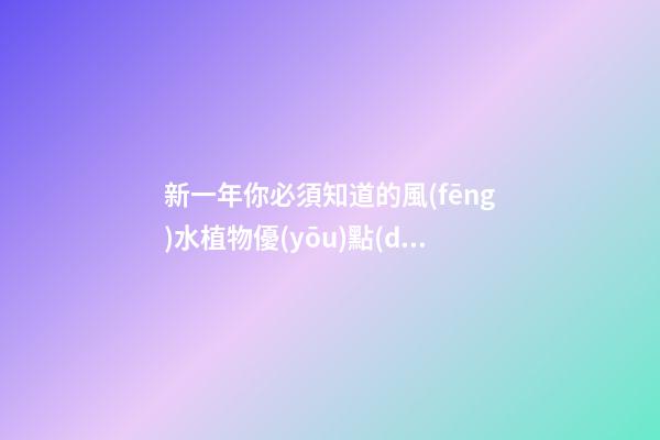 新一年你必須知道的風(fēng)水植物優(yōu)點(diǎn)