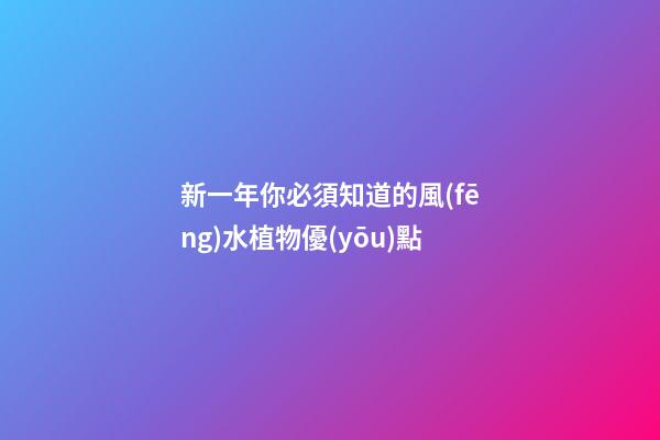 新一年你必須知道的風(fēng)水植物優(yōu)點