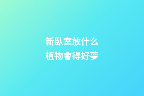 新臥室放什么植物會得好夢