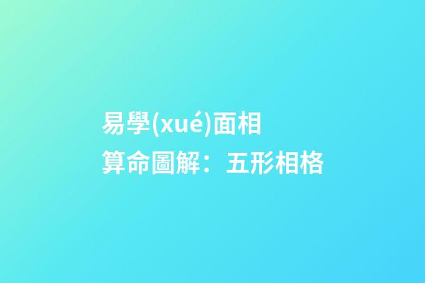 易學(xué)面相算命圖解：五形相格