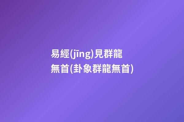易經(jīng)見群龍無首(卦象群龍無首)