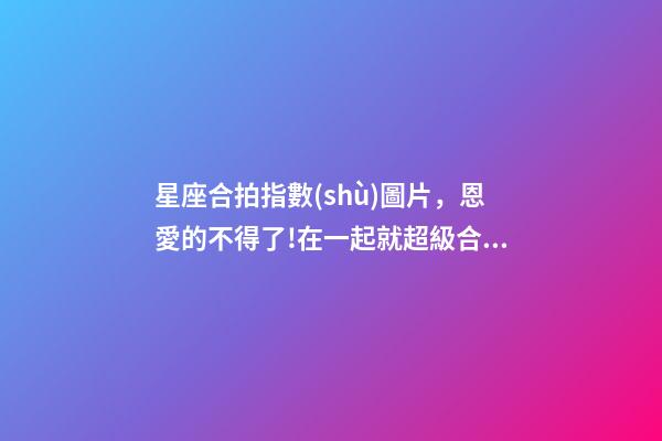 星座合拍指數(shù)圖片，恩愛的不得了!在一起就超級合拍的星座配對前5名大公開!-第1張-觀點-玄機派