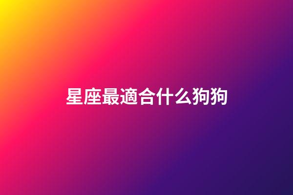 星座最適合什么狗狗-第1張-星座運勢-玄機派