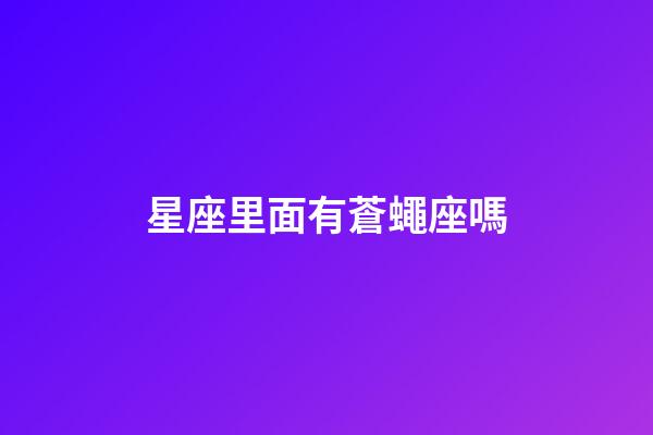 星座里面有蒼蠅座嗎