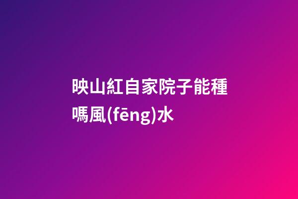 映山紅自家院子能種嗎風(fēng)水
