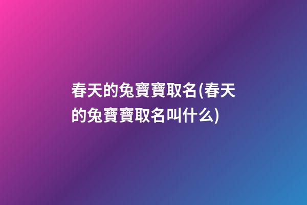 春天的兔寶寶取名(春天的兔寶寶取名叫什么)