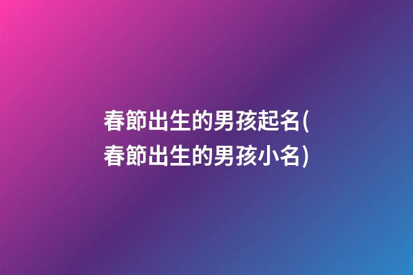 春節出生的男孩起名(春節出生的男孩小名)