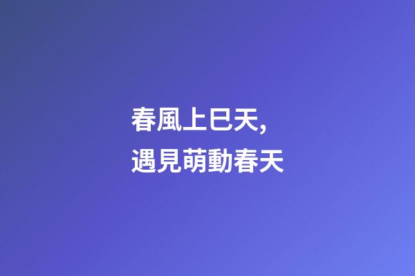 春風上巳天,遇見萌動春天-第1張-觀點-玄機派