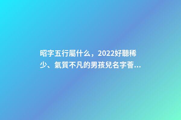 昭字五行屬什么，2022好聽稀少、氣質不凡的男孩兒名字薈萃-第1張-觀點-玄機派