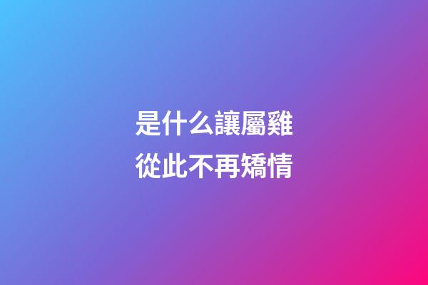 是什么讓屬雞從此不再矯情