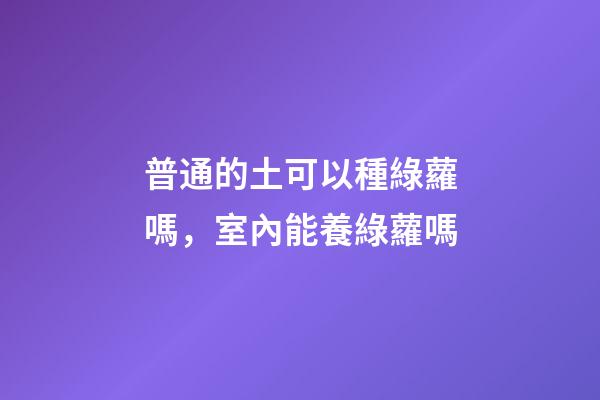 普通的土可以種綠蘿嗎，室內能養綠蘿嗎-第1張-觀點-玄機派