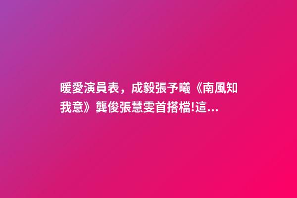暖愛演員表，成毅張予曦《南風知我意》龔俊張慧雯首搭檔!這些cp你期待嗎-第1張-觀點-玄機派