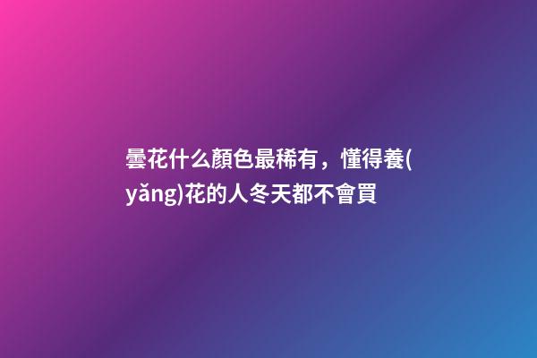 曇花什么顏色最稀有，懂得養(yǎng)花的人冬天都不會買-第1張-觀點-玄機派
