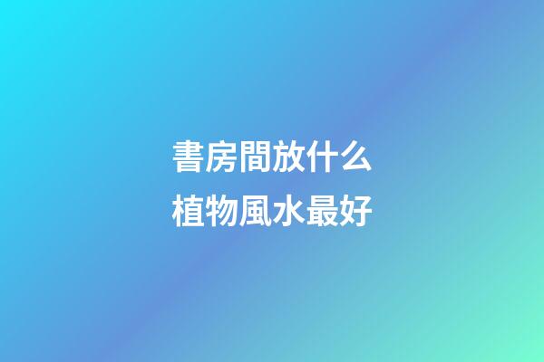 書房間放什么植物風水最好
