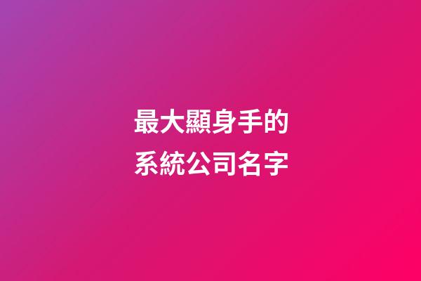 最大顯身手的系統公司名字-第1張-公司起名-玄機派