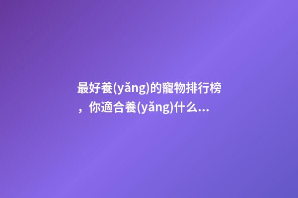 最好養(yǎng)的寵物排行榜，你適合養(yǎng)什么樣的貓