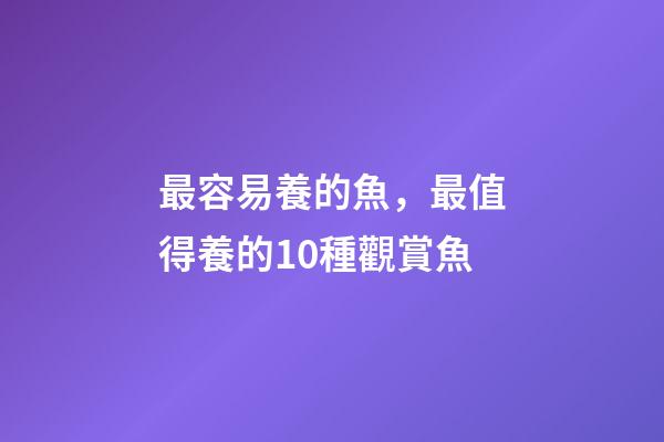 最容易養的魚，最值得養的10種觀賞魚