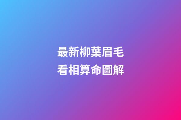 最新柳葉眉毛看相算命圖解