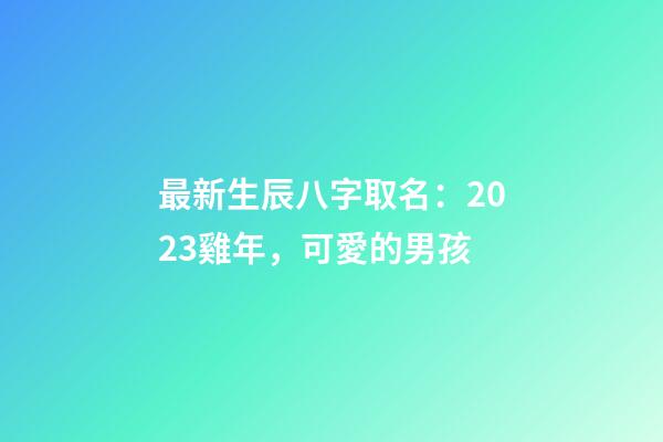 最新生辰八字取名：2023雞年，可愛的男孩