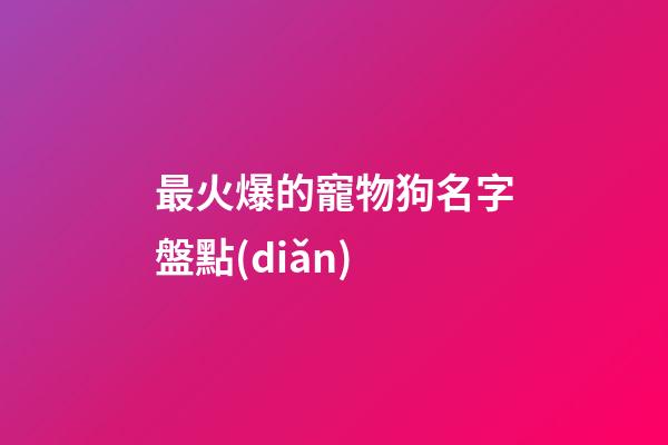 最火爆的寵物狗名字盤點(diǎn)