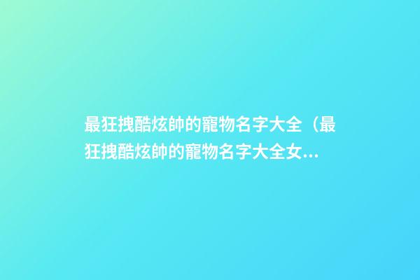 最狂拽酷炫帥的寵物名字大全（最狂拽酷炫帥的寵物名字大全女）